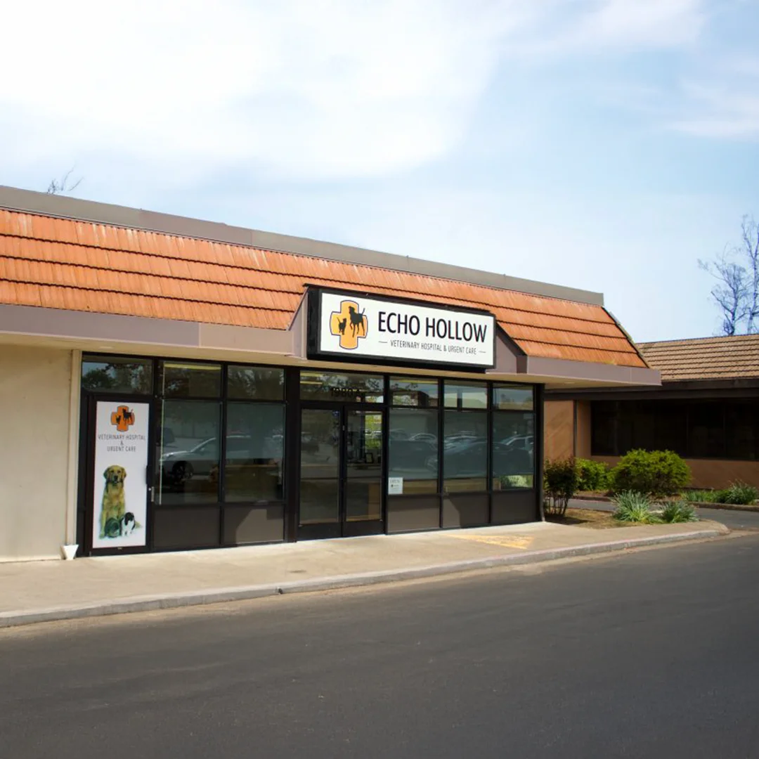 Front entrance of Echo Hollow Veterinary Hospital and Urgent Care with large windows and logo signage.