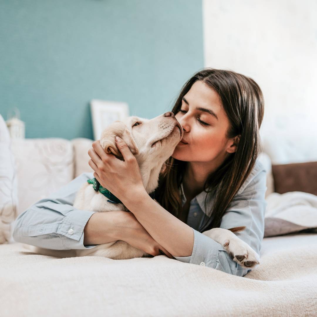 Woman kisses puppy on bed with teal wall