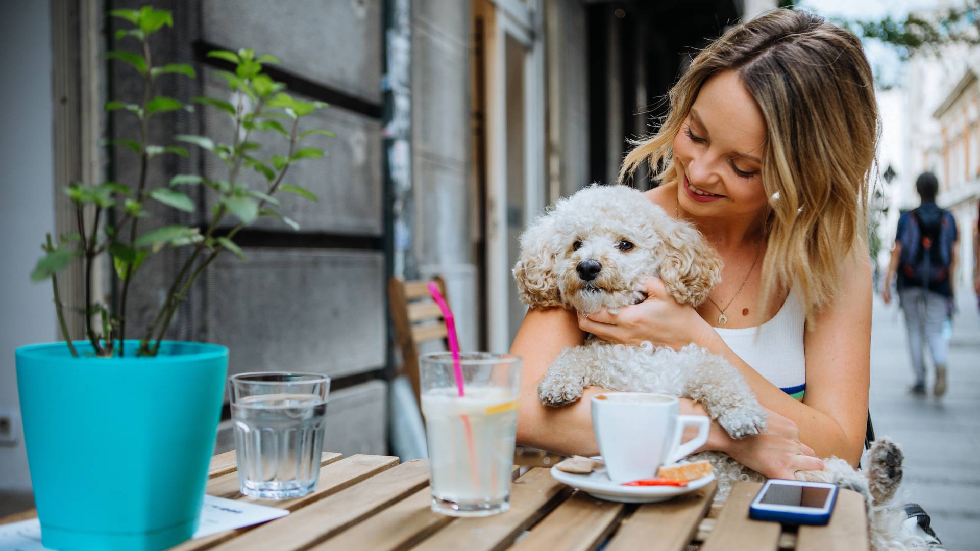 rabbit on the ground