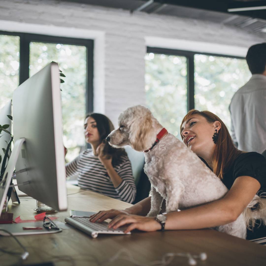 Woman with dog on lap works at desk with computer