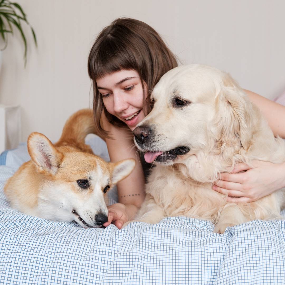 Woman with two dogs on bed