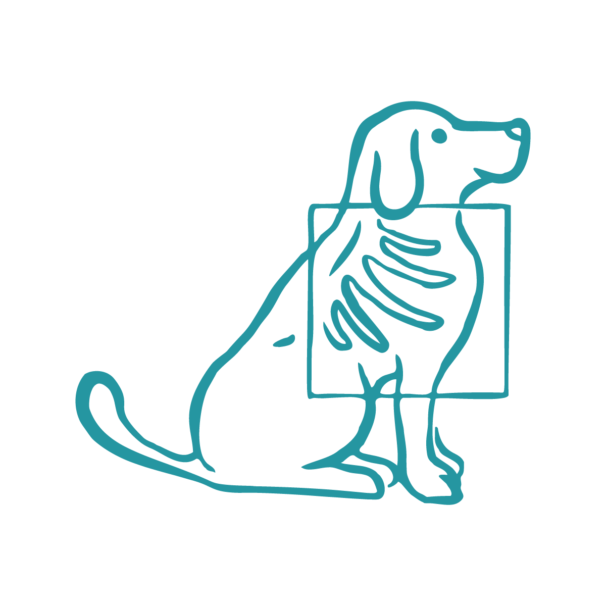 Veterinarian using ultrasound probe on a black dog lying on an exam table.