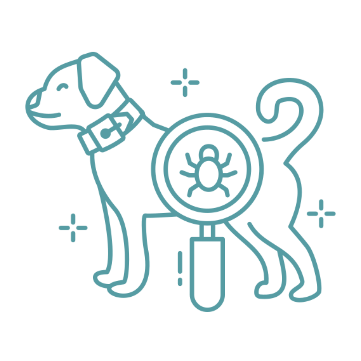 Excessive scratching or licking icon