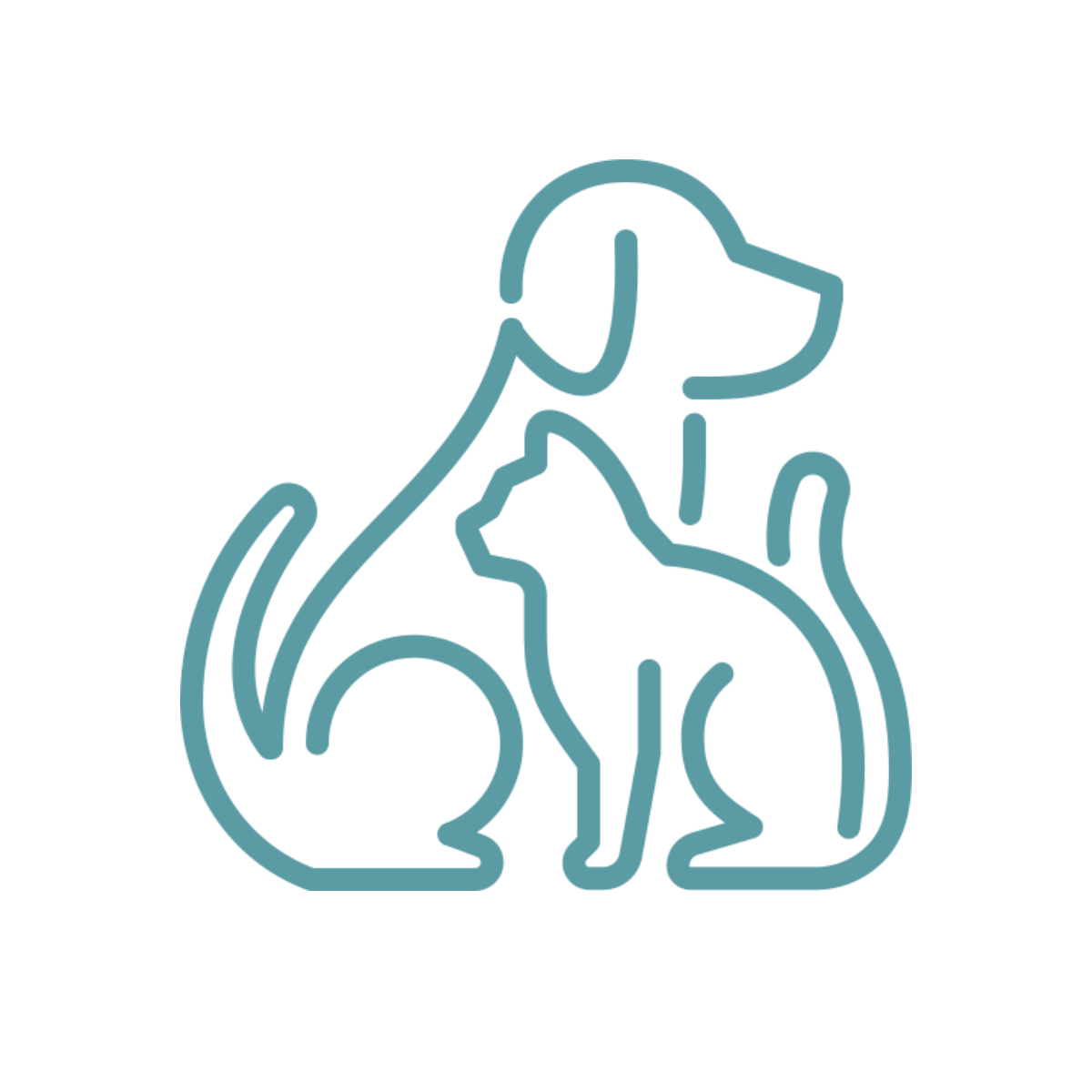 Gastrointestinal surgery (foreign body removal, biopsy) icon