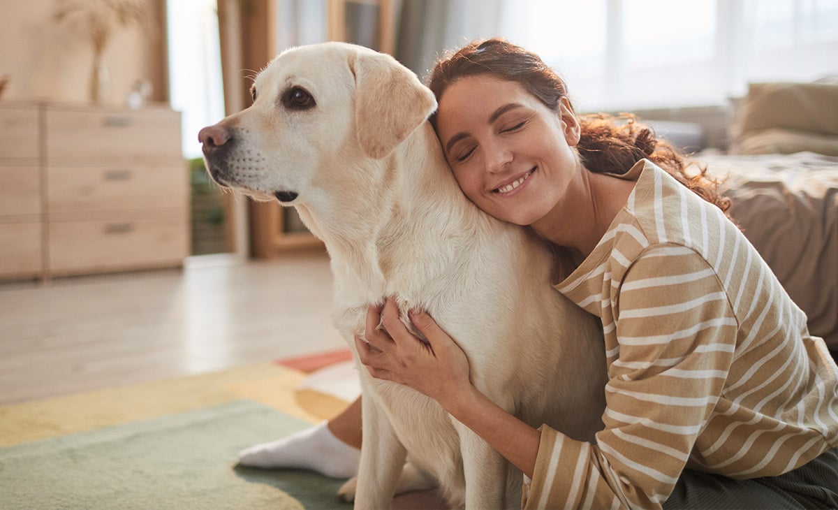 Cat and dog napping inside