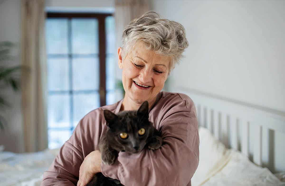 pet on the exam table