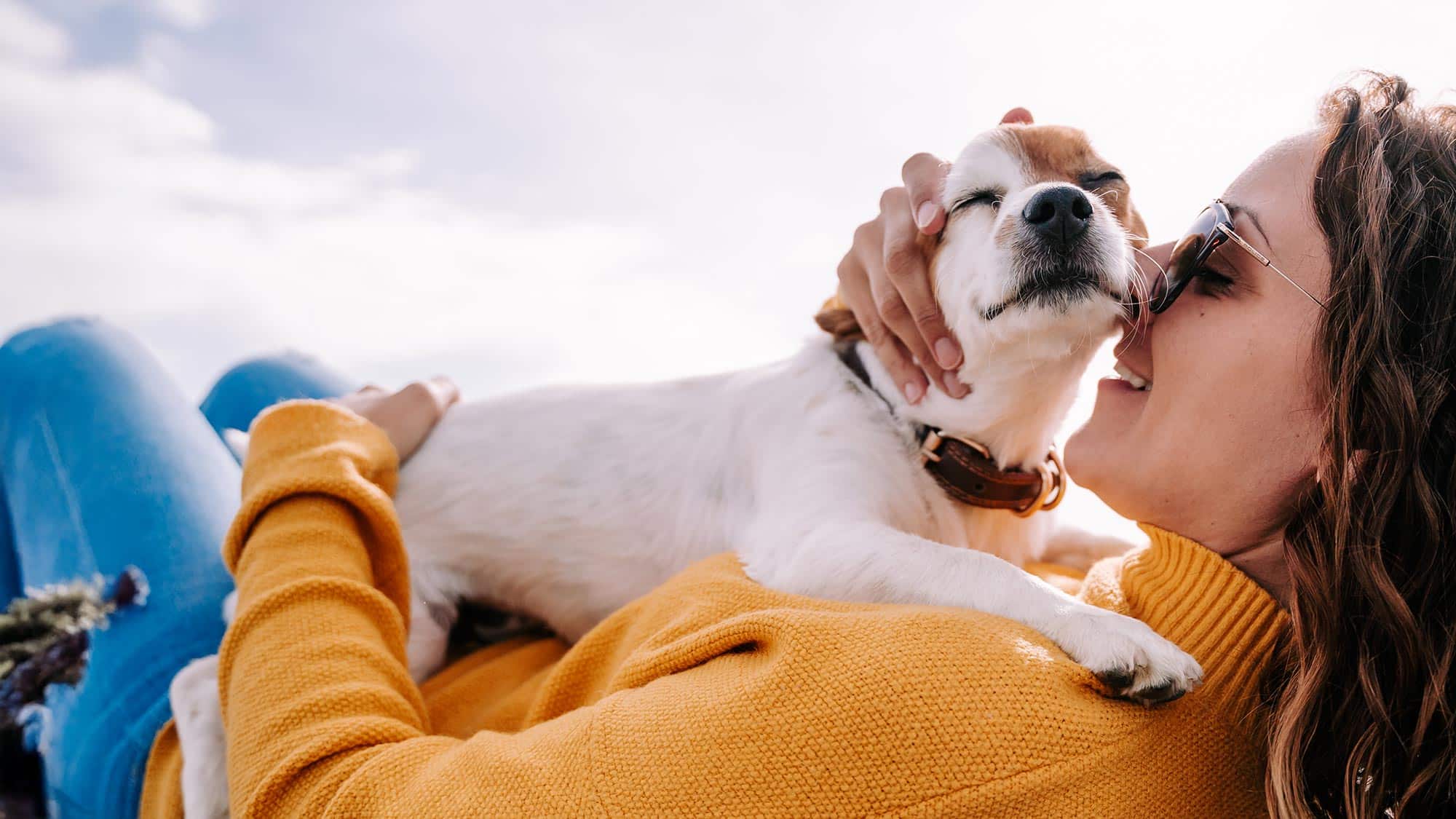 rabbit on the ground