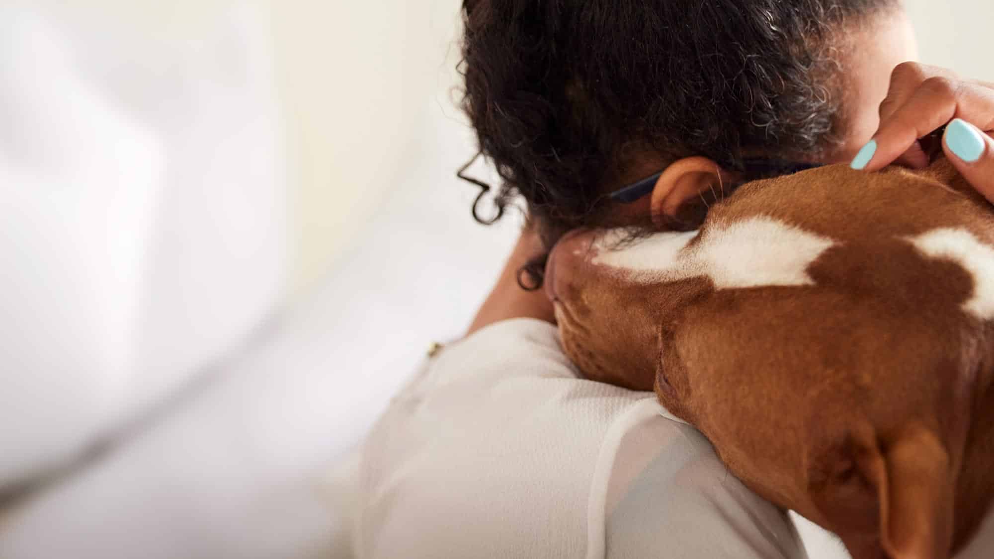 rabbit on the ground