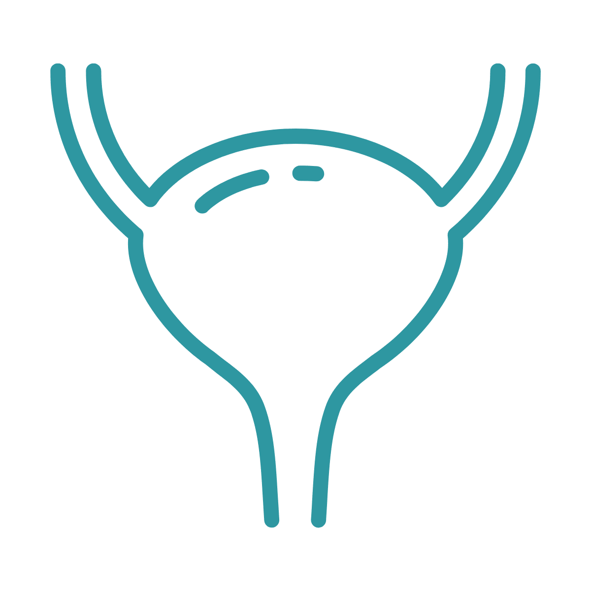 bladder icon
