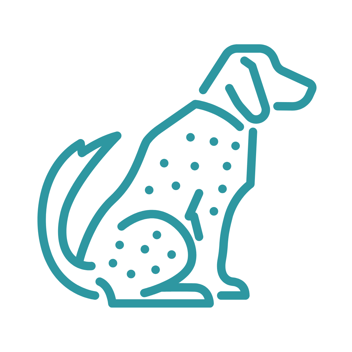 dog itchy skin icon
