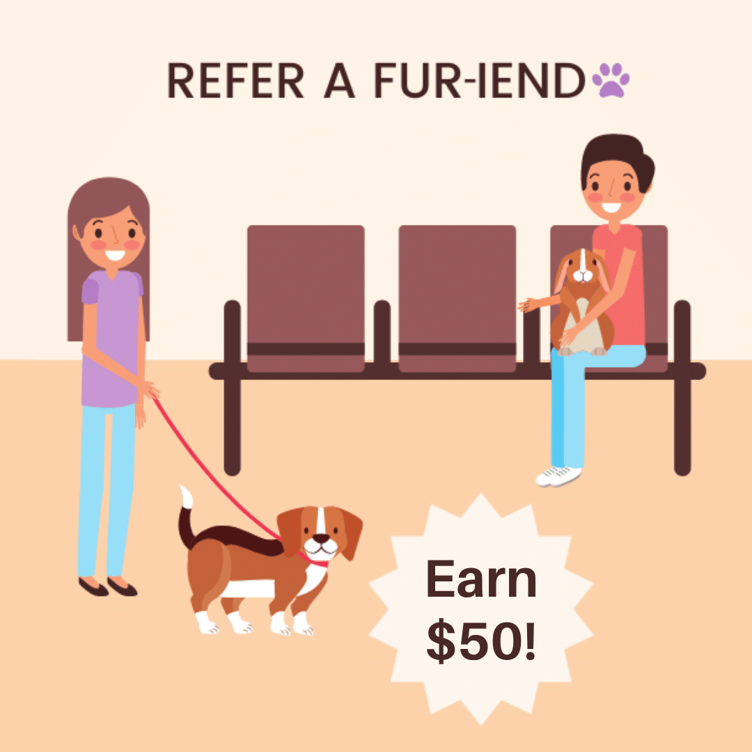 Fur-iends Promo Graphic